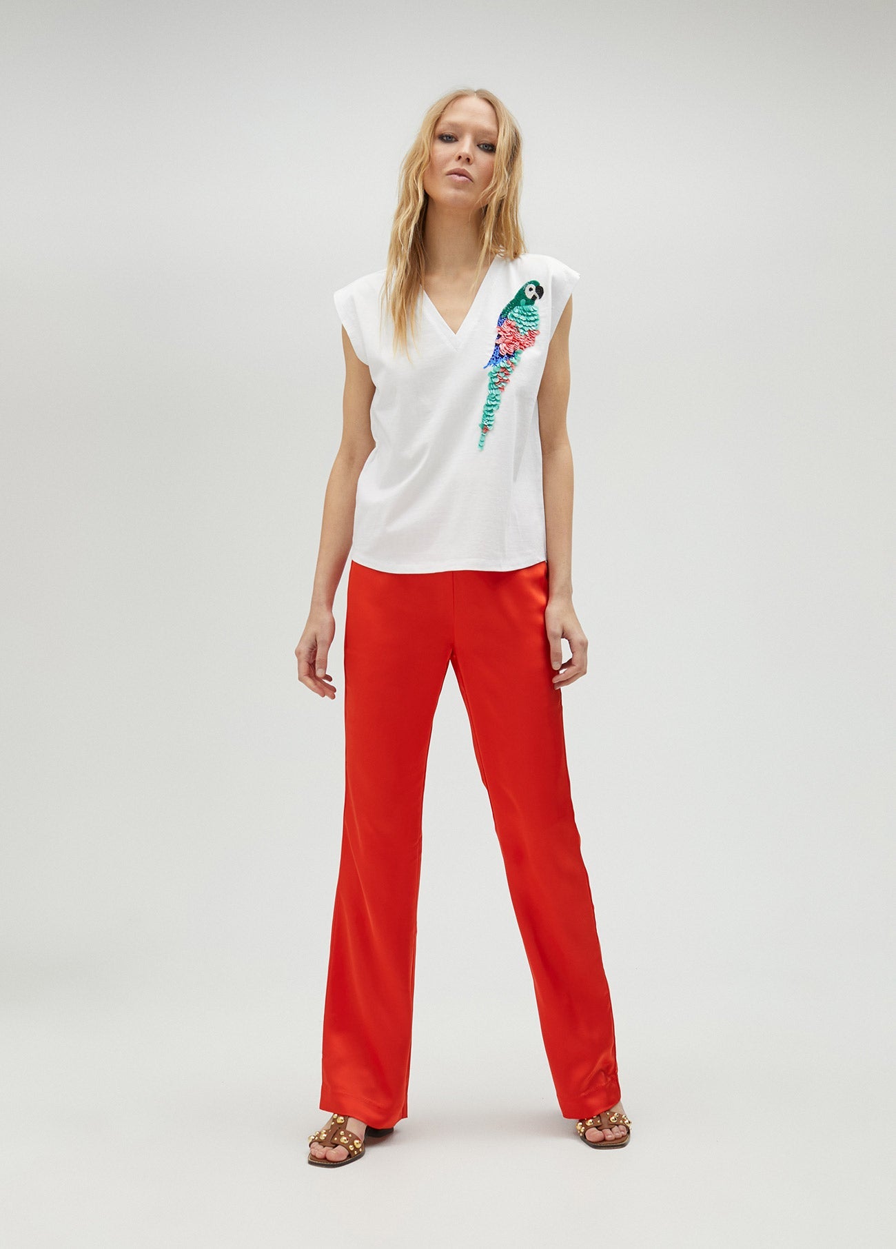 T-shirt with multicoloured Parrot detail