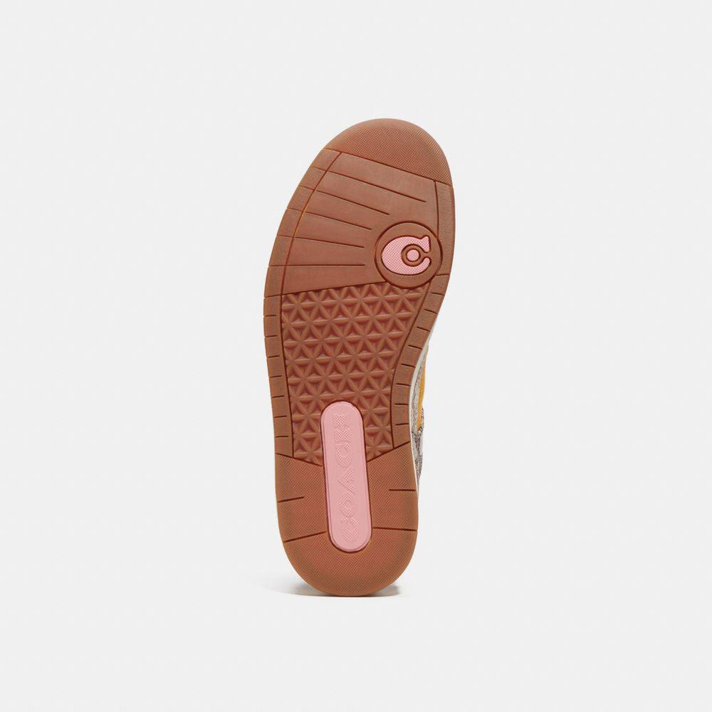 CK570-C201 Low Top Sneaker In Signature-Buttercup/Tan