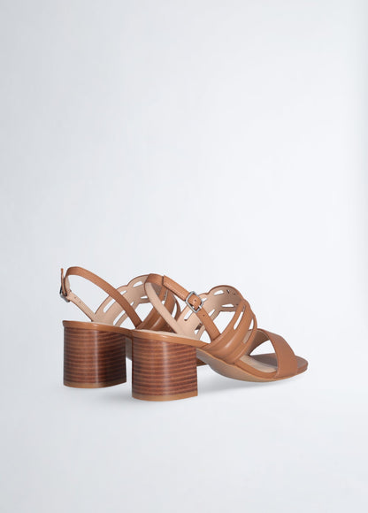 SA5149P0062S185341-brown