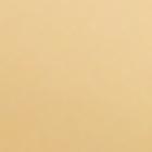 KG358-CLB TENNIS NECK-Cream/Gold