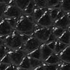 KK729-Ava 2N1 Bfld-Black