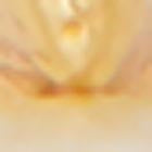 WBR00231-Trio Prong Pendant-CREAM/GLD