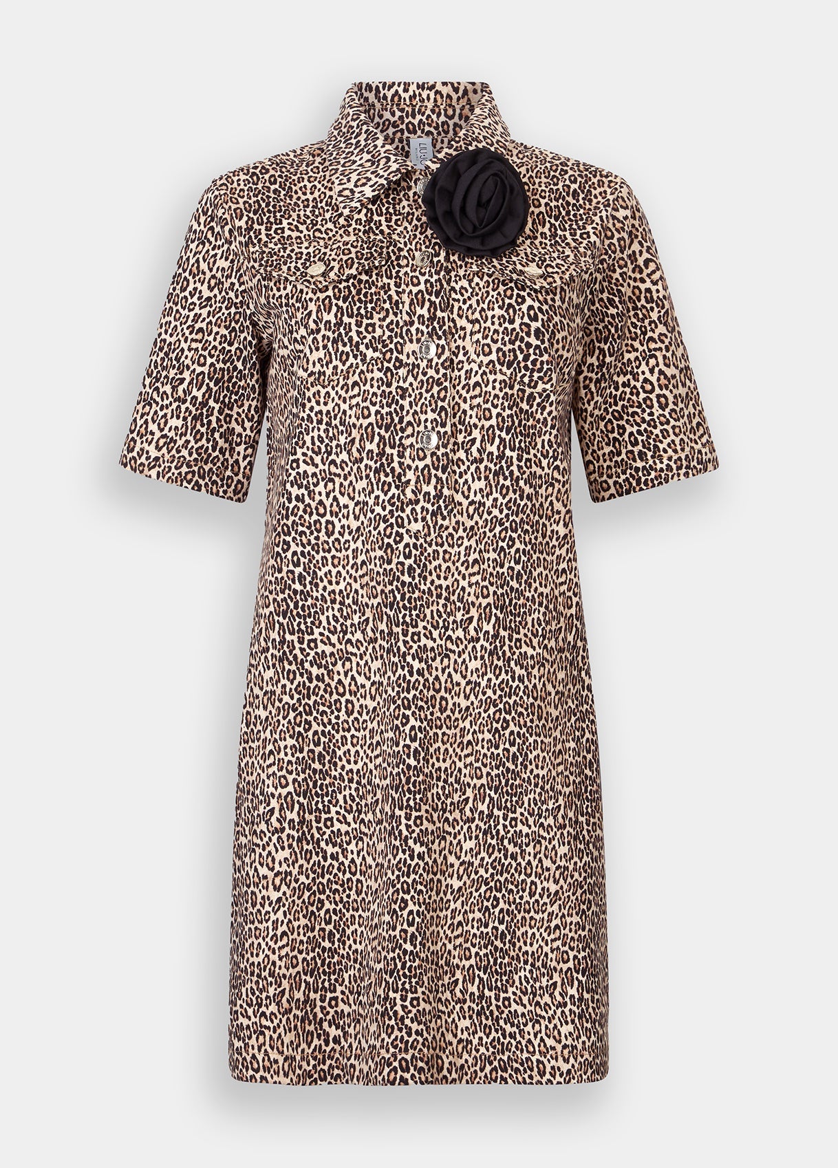 UF5195T016AM976638-animal print