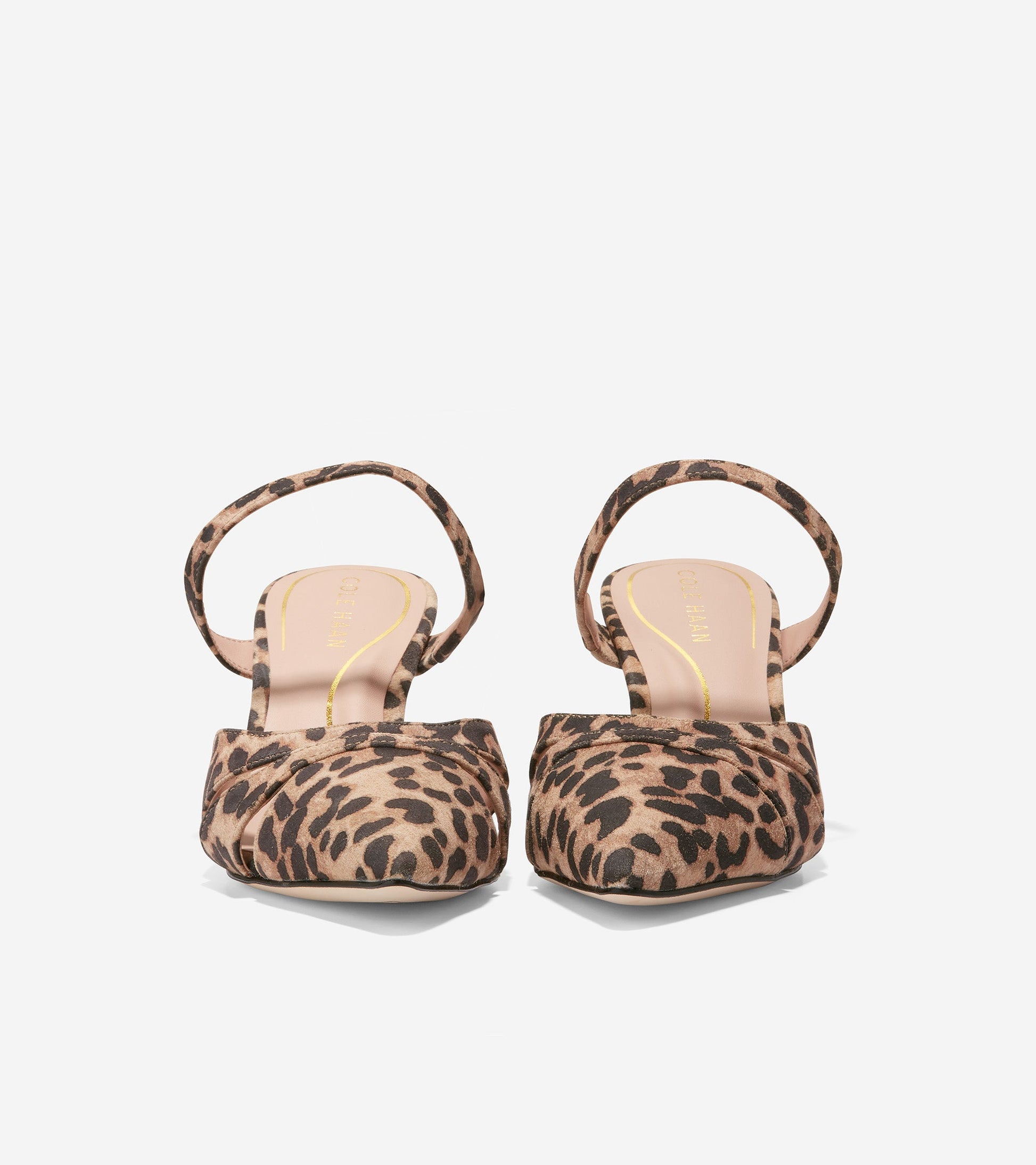 w26453-Vandam Mule-Leopard Print