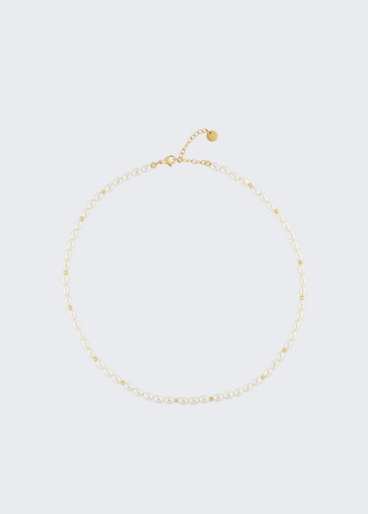 XA5ADZA000199999T.U.-gold