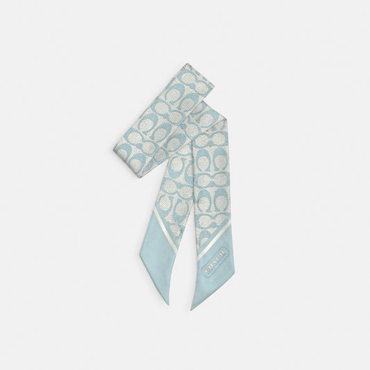 29C2783-Vintage Signature C Printed Silk Sinny-Light Blue
