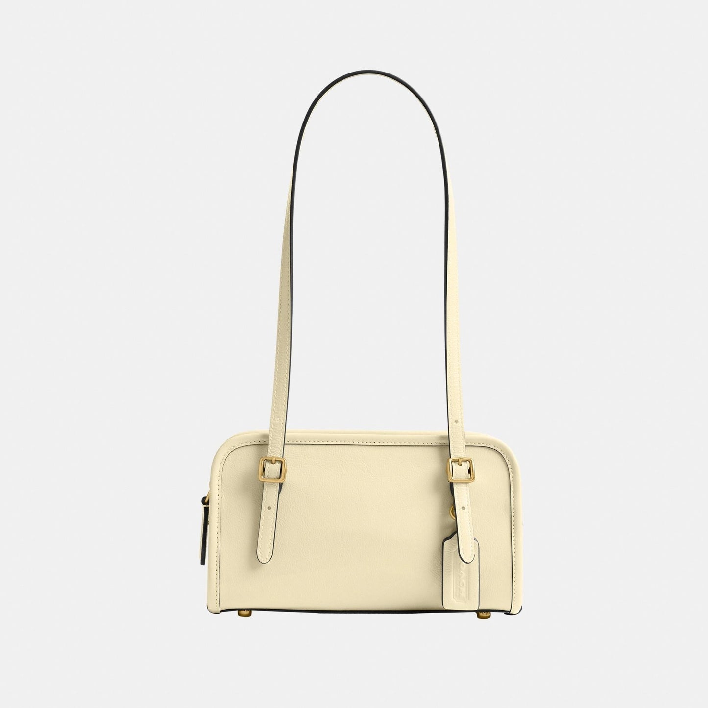 CAN31-SWING ZIP BAG 20-B4/Moonlight