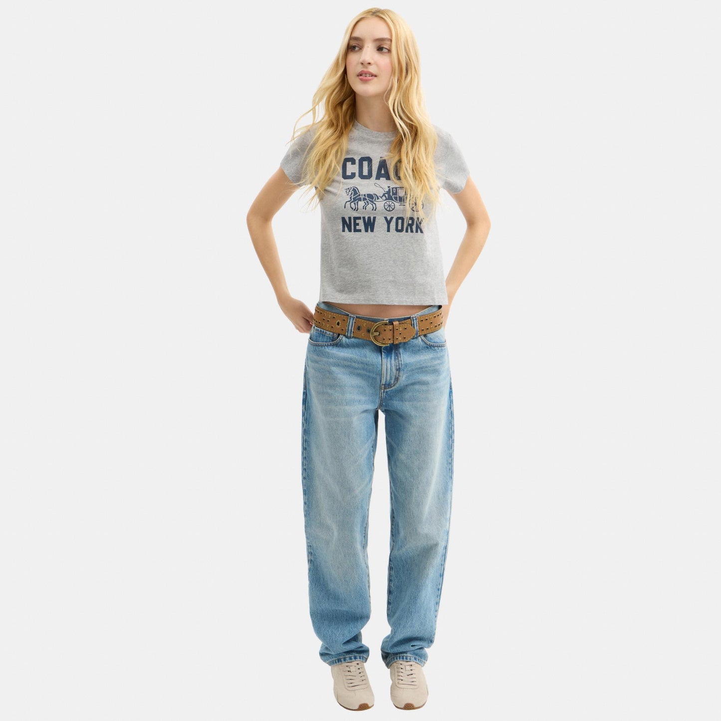 CBD21-Horse and Carriage T-Shirt in Organic Cotton-Heather Grey