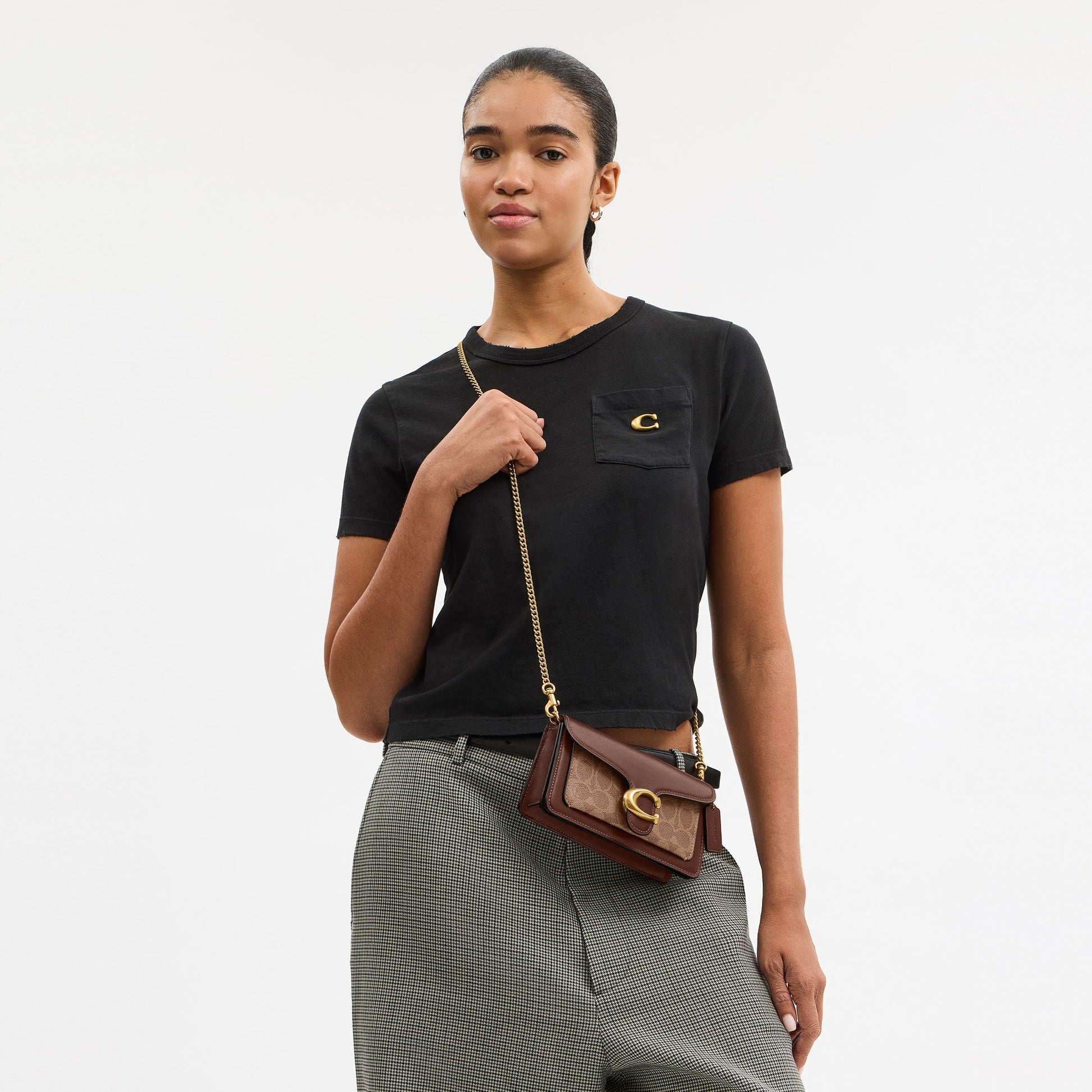 CCD26-Tabby Chain Crossbody Bag 19 in Signature Canvas-B4/Maple