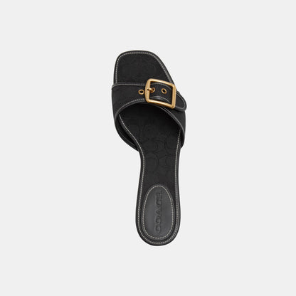 CCM10-Margot Sig Jqd-Black