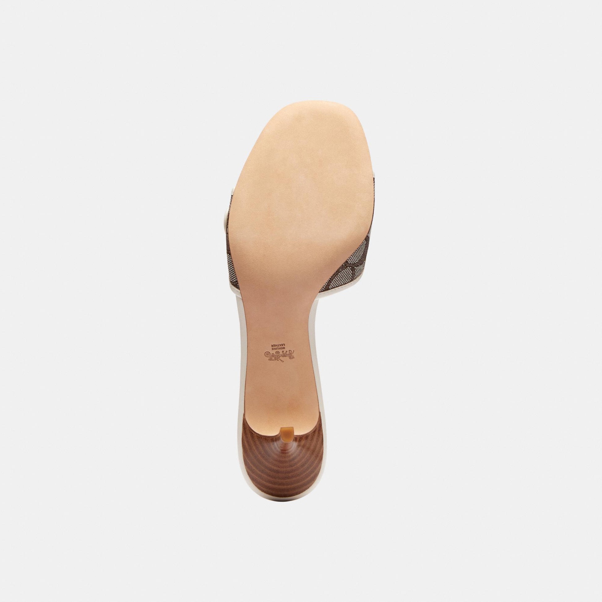 CCM10-Margot Sig Jqd-Oak/Chalk