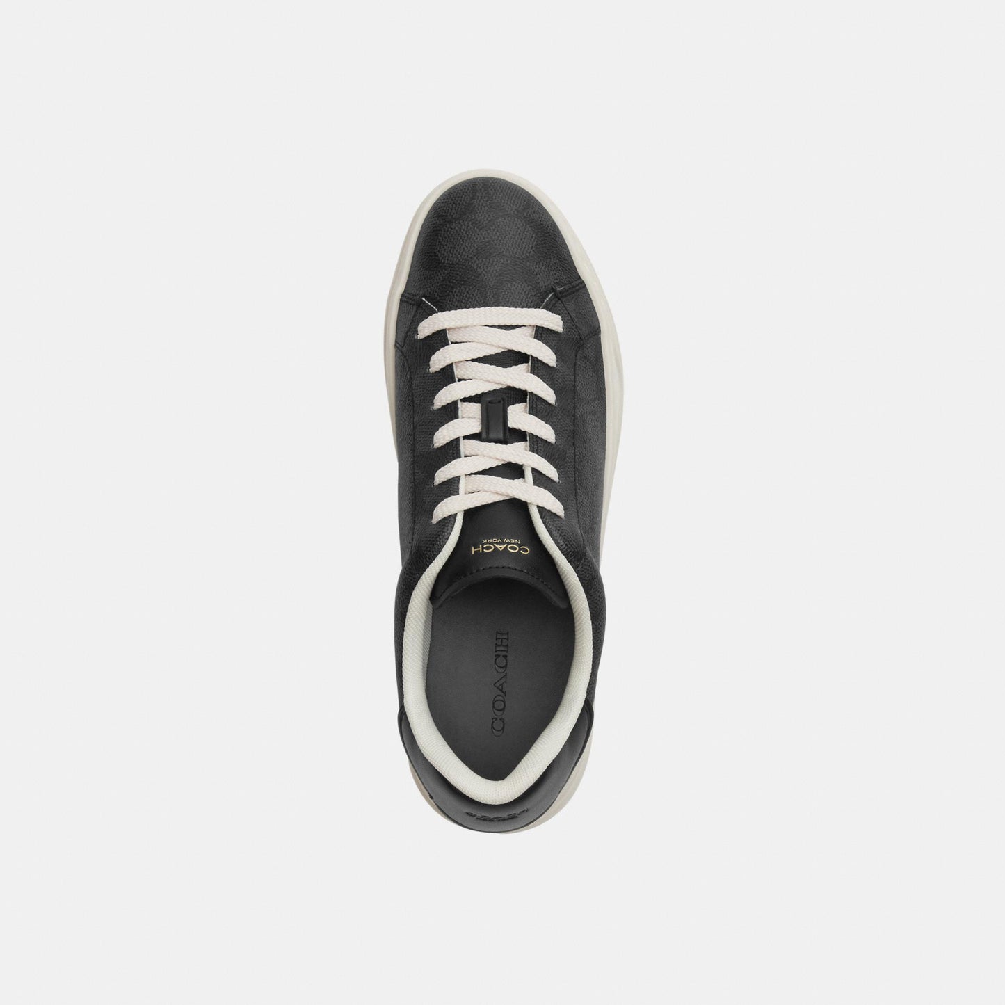 CCN67-High Line Sneaker in Signature Canvas-Charcoal/Black