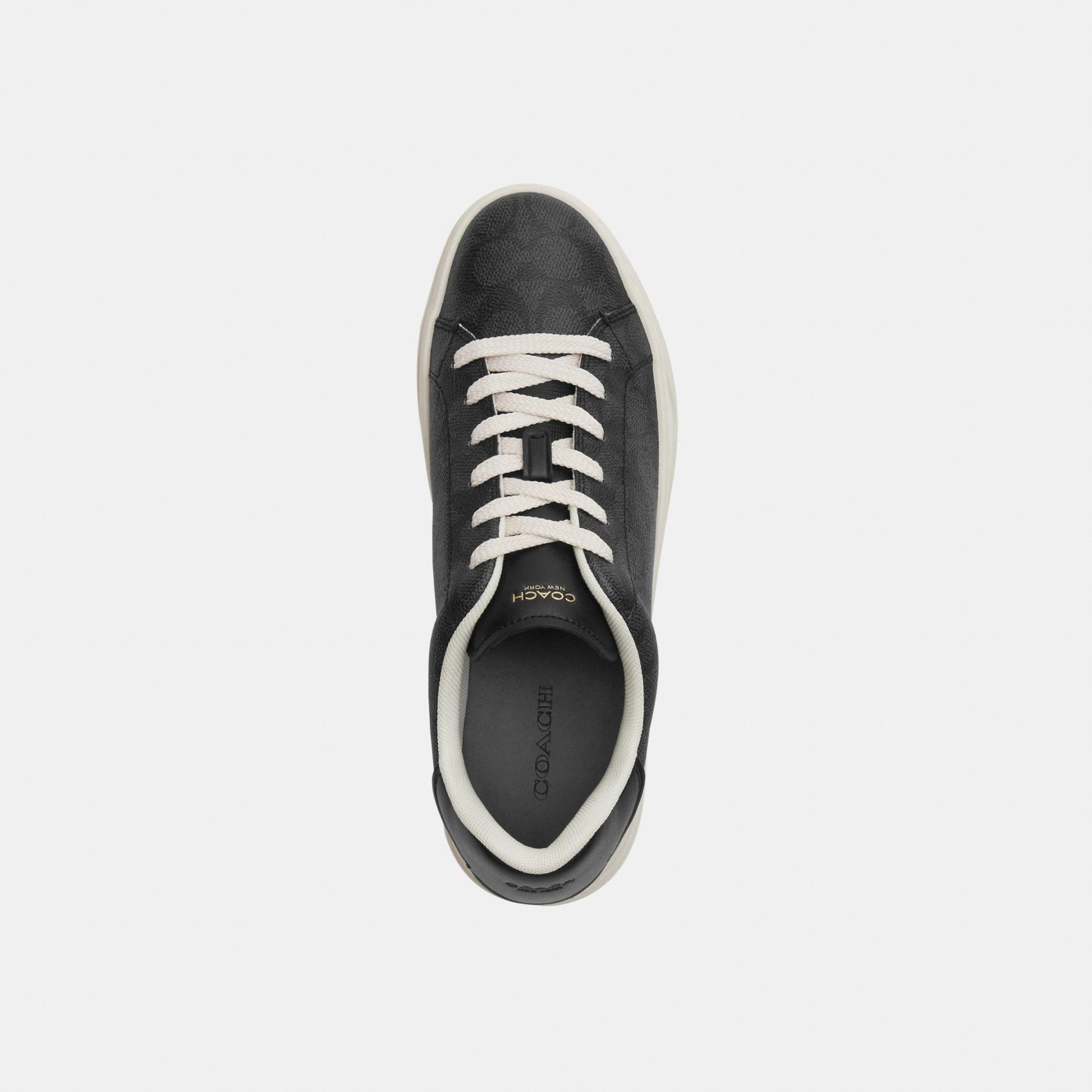 CCN67-High Line Sneaker in Signature Canvas-Charcoal/Black