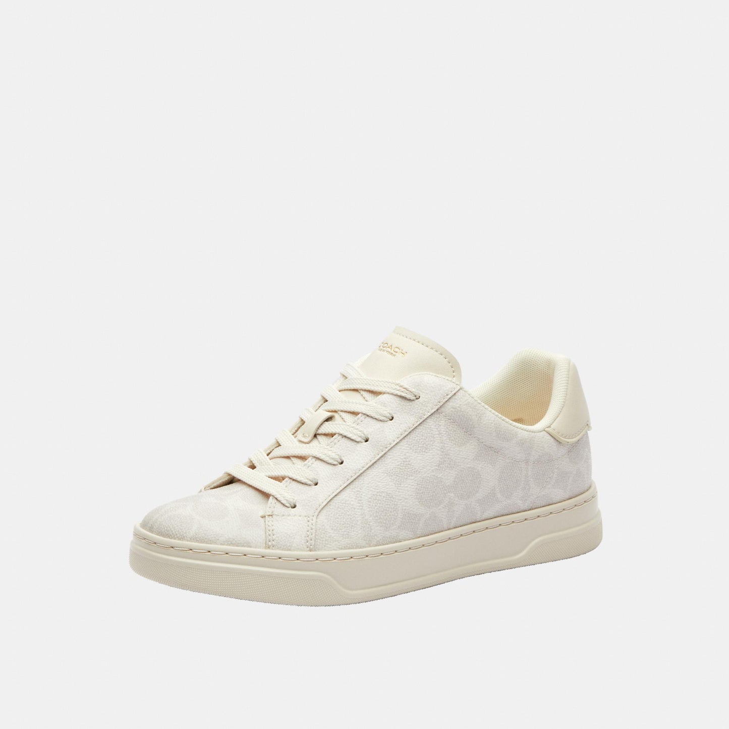 CCN67-High Line Sneaker in Signature Canvas-Off White