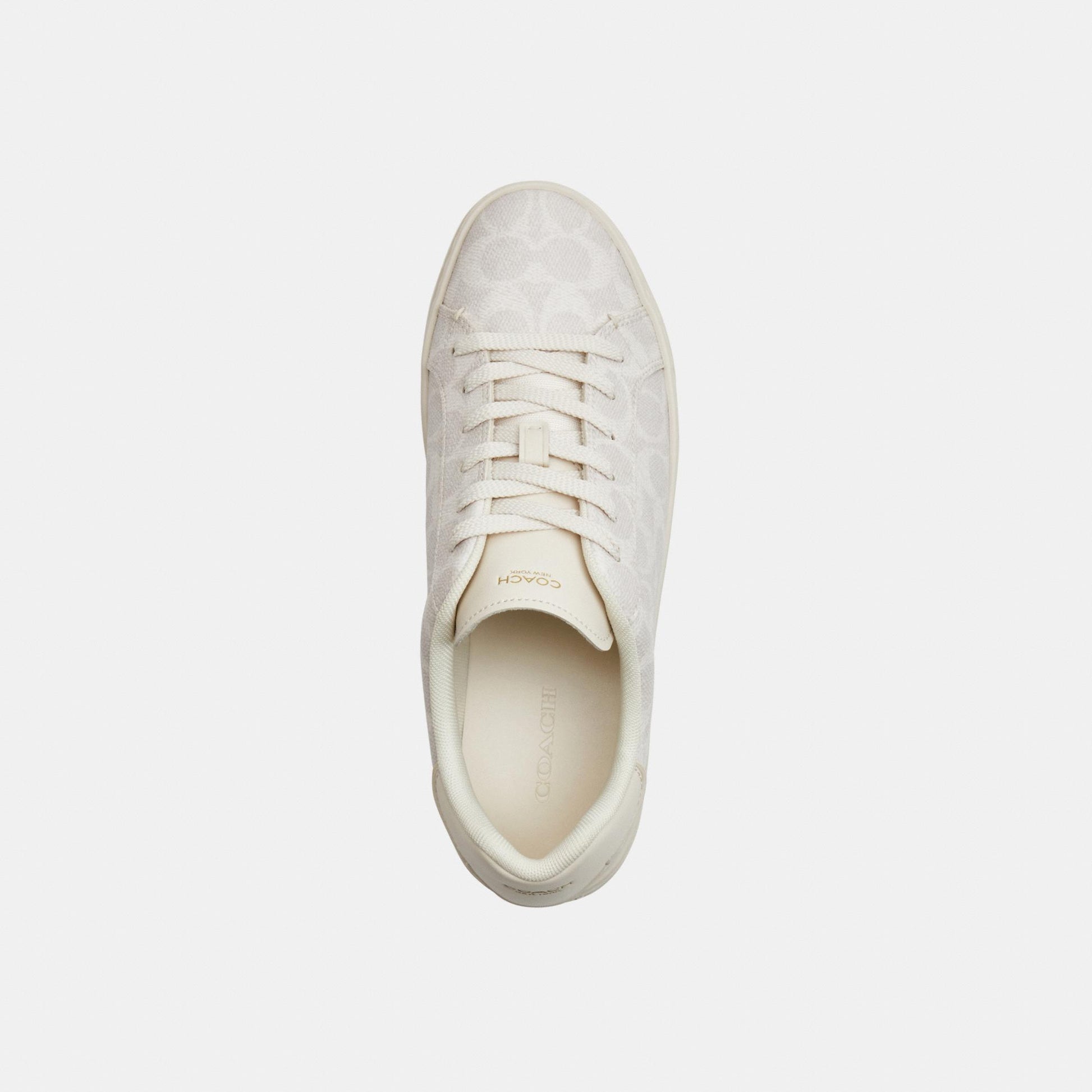 CCN67-High Line Sneaker in Signature Canvas-Off White