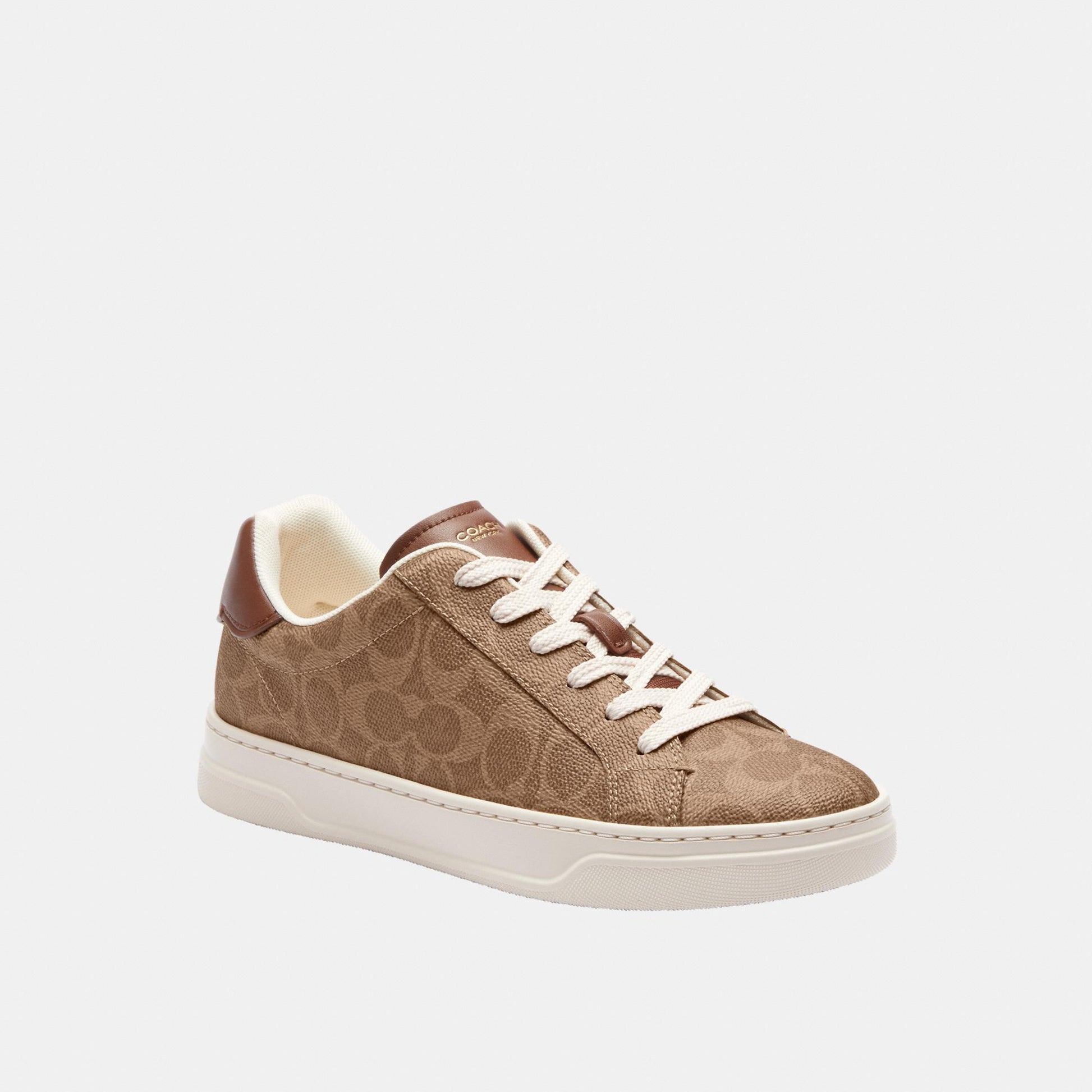 CCN67-High Line Sneaker in Signature Canvas-Brown Khaki