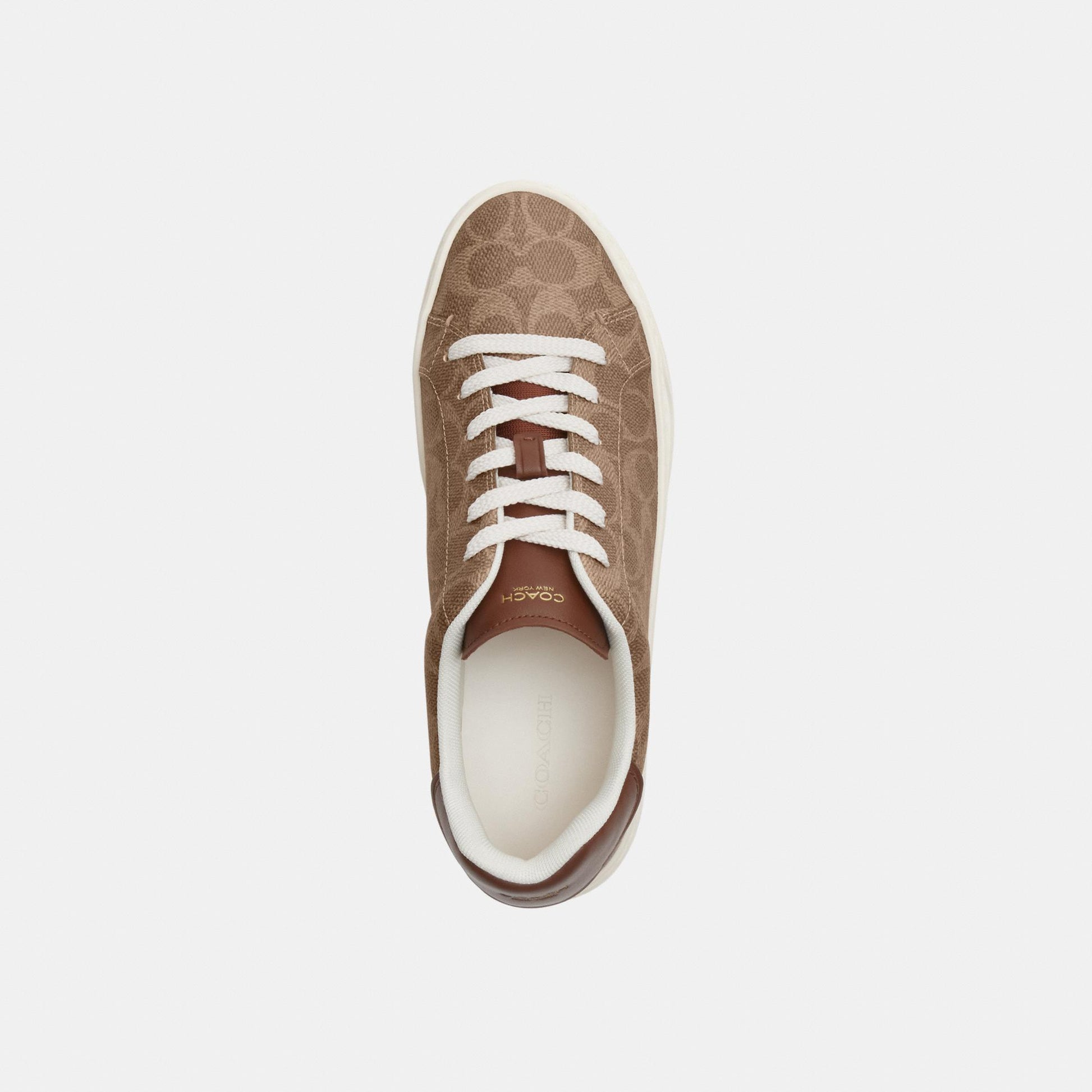 CCN67-High Line Sneaker in Signature Canvas-Brown Khaki