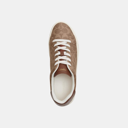 CCN67-High Line Sneaker in Signature Canvas-Brown Khaki