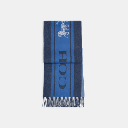 CM104-Varsity Sport Cashmere Muffler-Midnight Navy