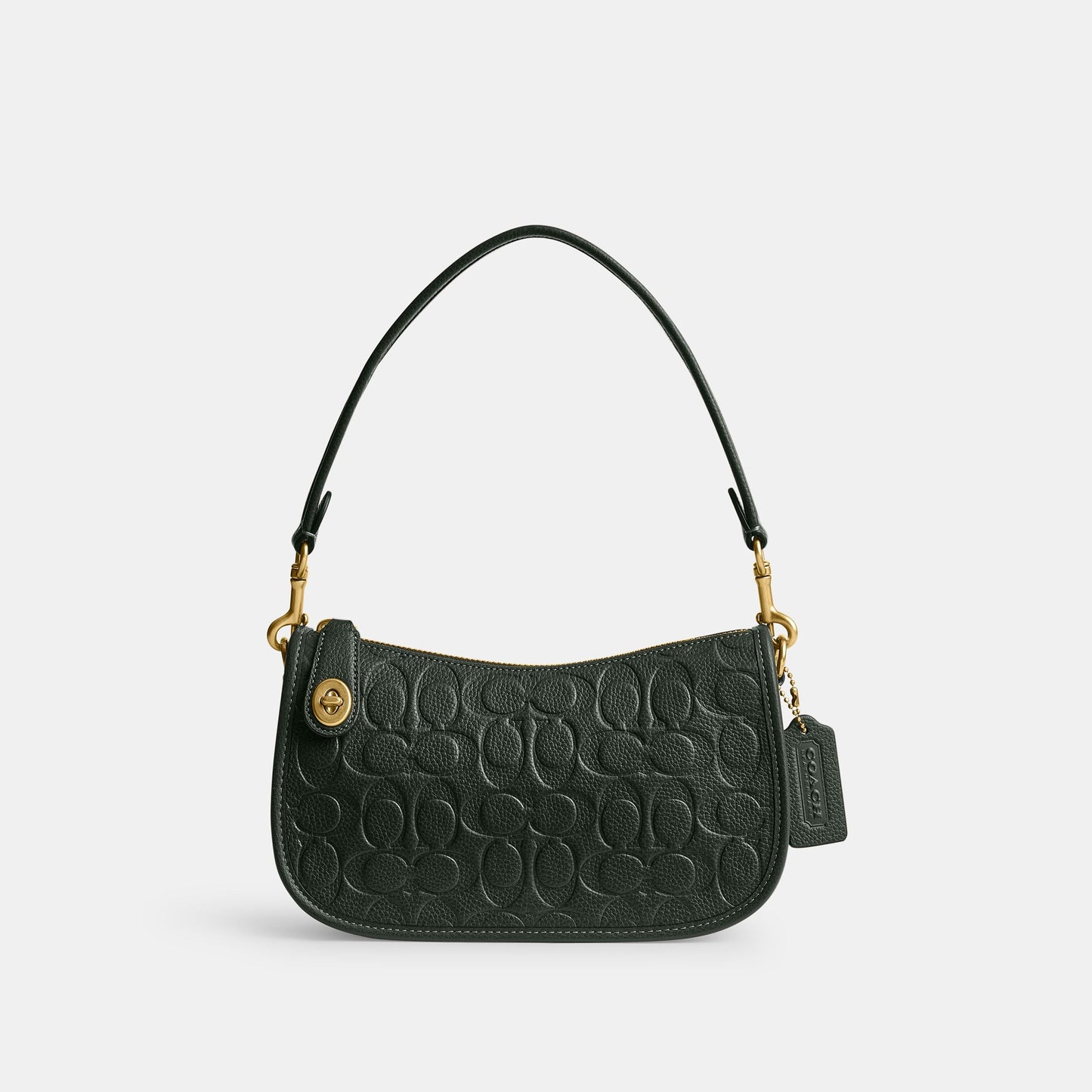CN055-Swinger In Signature Leather-B4/Amazon Green