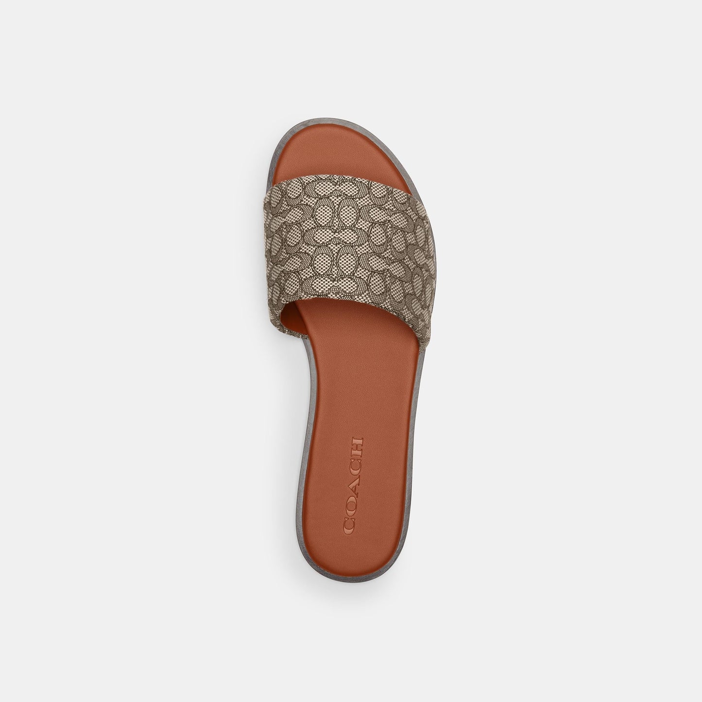 CT673-Holly Mini Sig-Cocoa/Burnished Amber