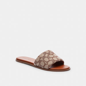 Cocoa/Burnished Amber