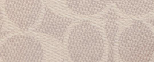 Mini Rowan Crossbody Bag In Blocked Signature Canvas