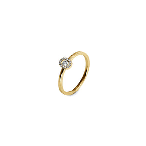 Yellowgold