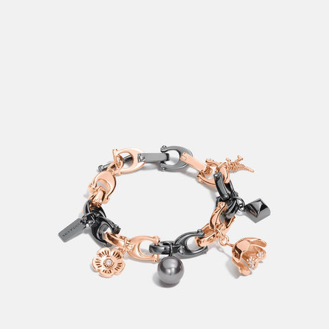 COACH-Charming Links Multi Charm Bracelet-26959-RS/Hematite