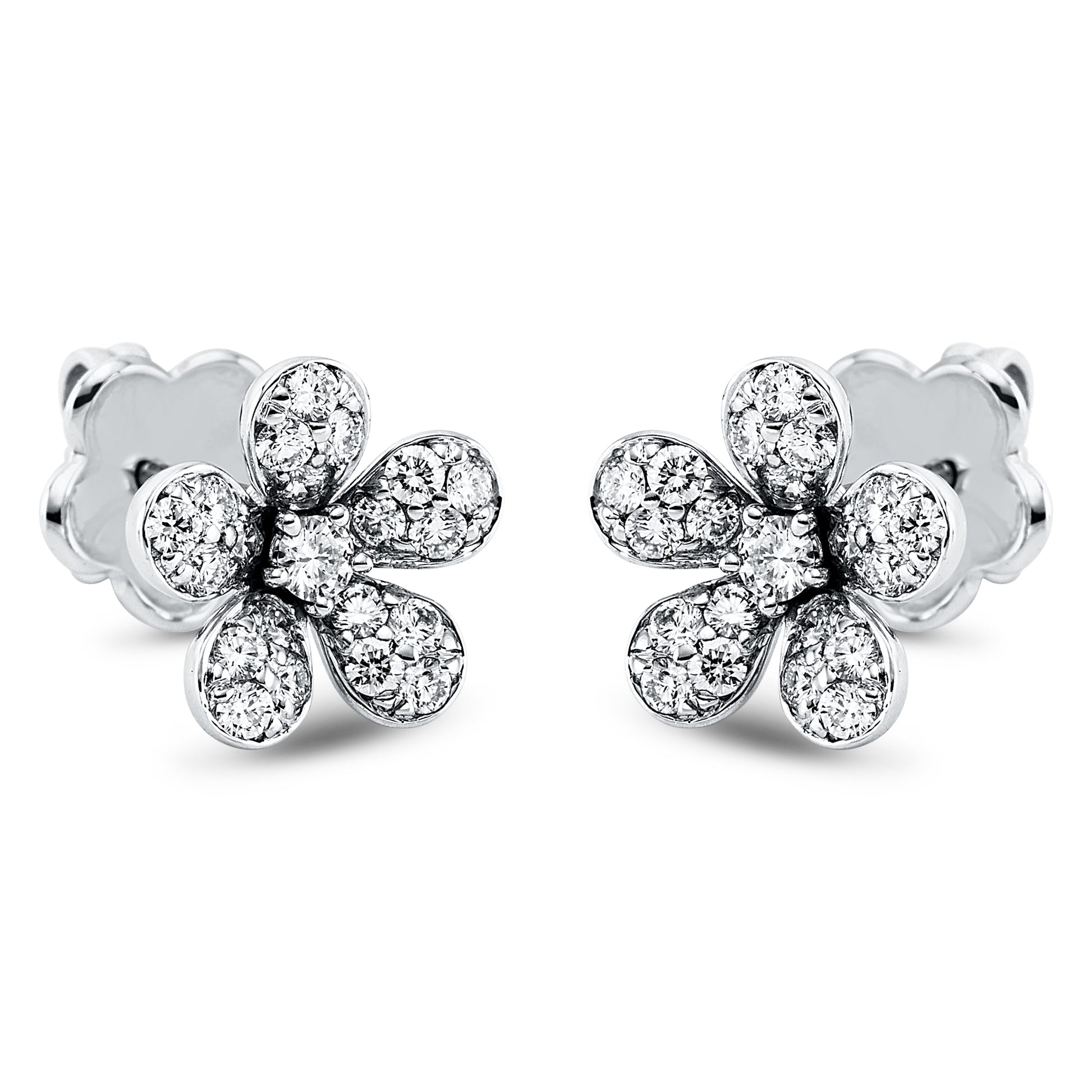 2K365W8-1-Whitegold