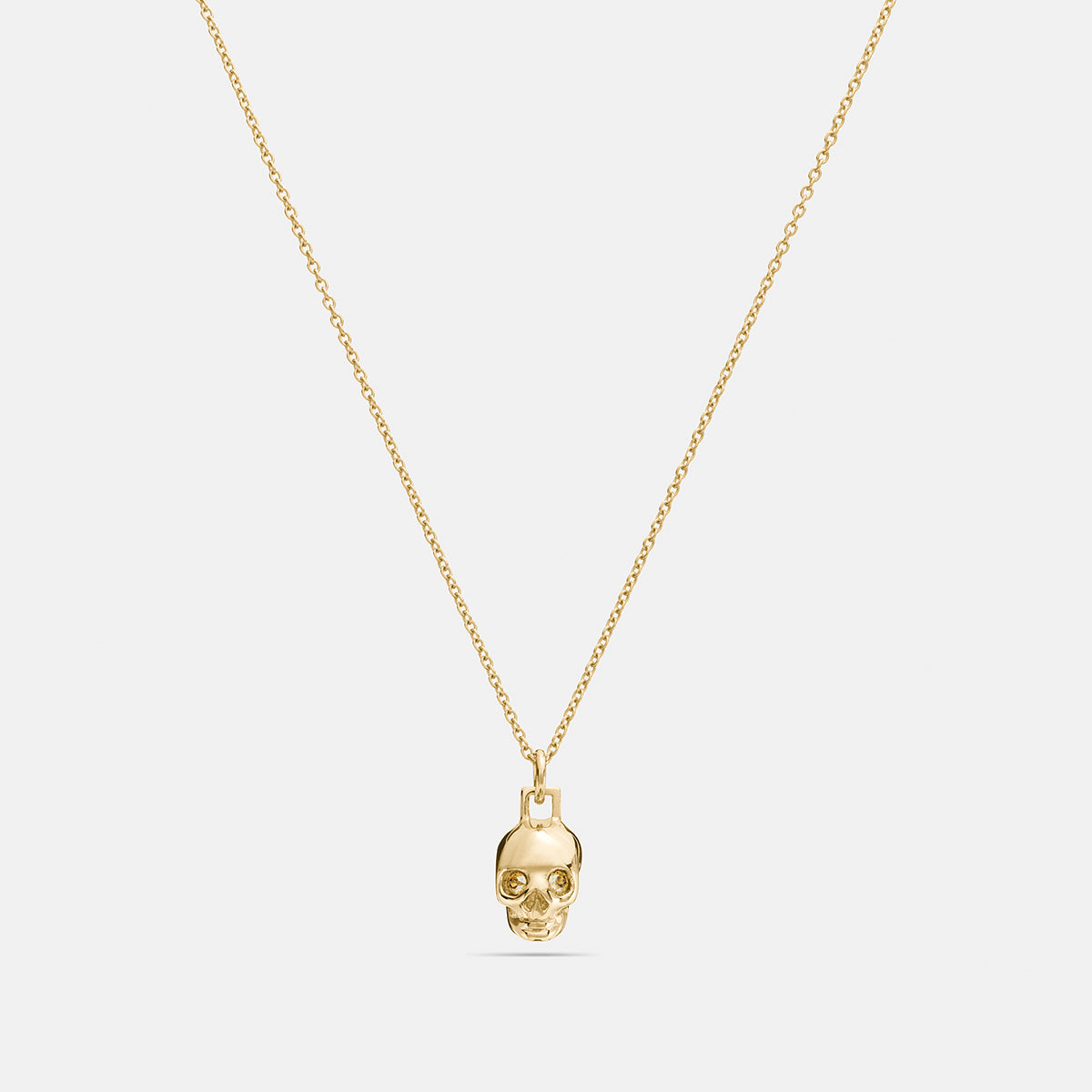 COACH-Mini Skull Necklace-58979-ROSEGOLD