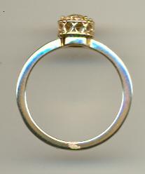 Nanis-AH2-568-7700002767H