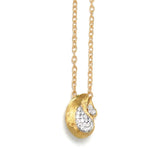 Nanis-CS10-569-7700002869H