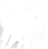 Nanis-SO1-19-7700000655H